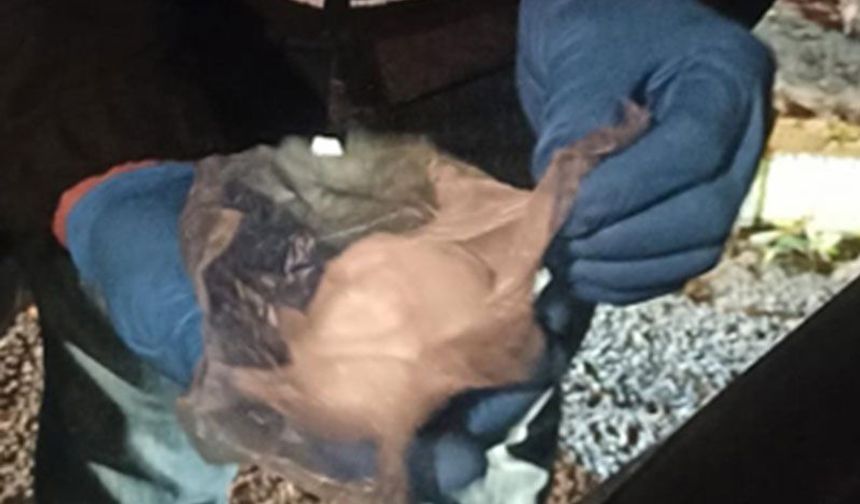 Aydın’da zehir tacirlerine operasyon