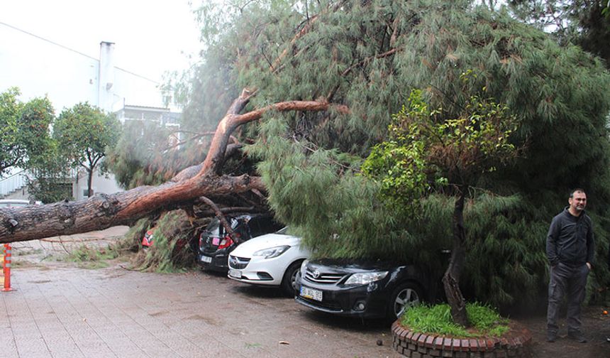 Aydın’da hastane bahçesinde korku dolu anlar