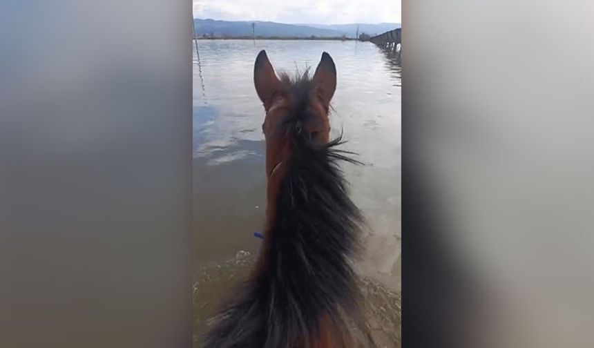 Aydınlı çifti sel sularından atıyla geçti