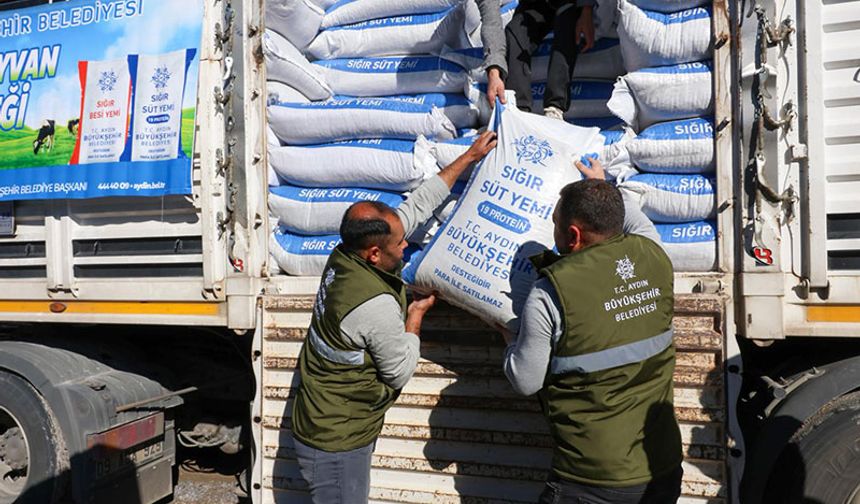 Büyükşehir Belediyesi’nin küçük üreticilere yem destekleri devam ediyor