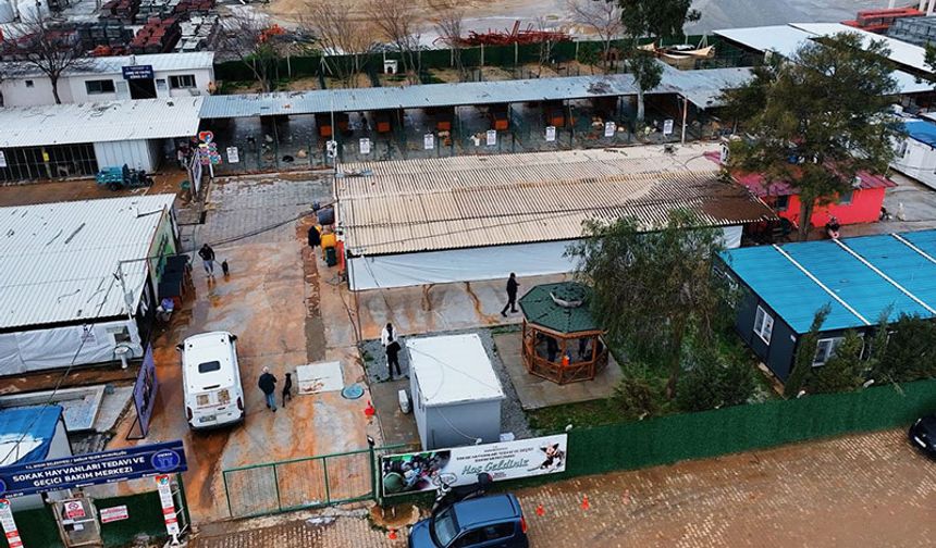 Didim Belediyesi can dostlar için mama üretiminde kapasiteyi artırdı