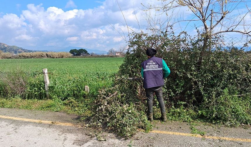 Efeler’in yeşil alanlarda  temizlik çalışması sürüyor