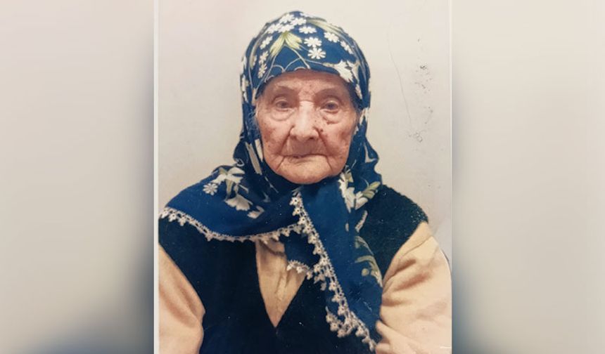 Asırlık çınar hayatını kaybetti