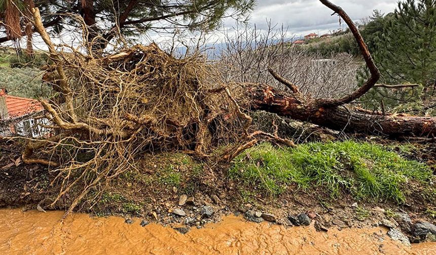 Şiddetli yağış Karacasu’yu vurdu