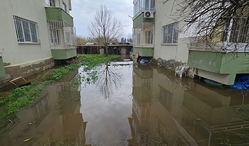 Nazilli'de mahalle sular altında kaldı