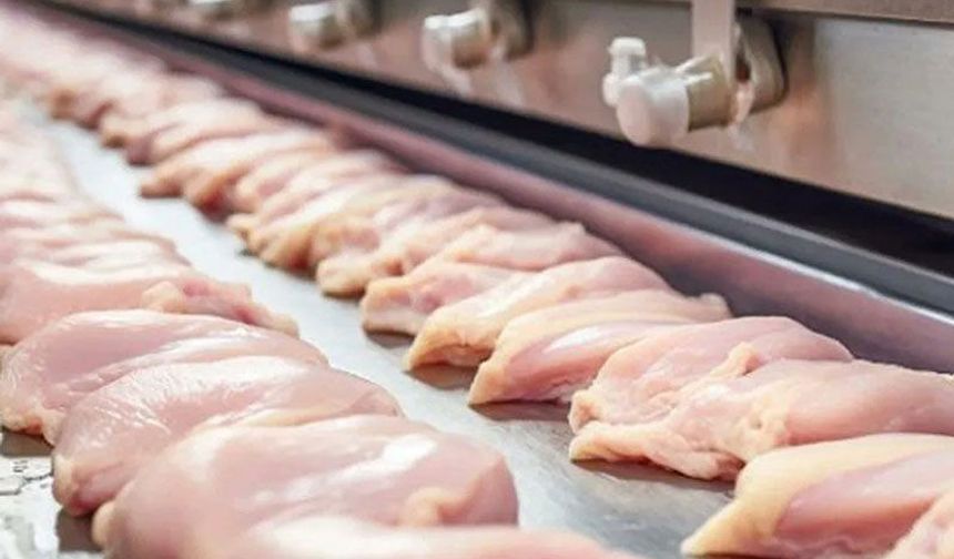 Tavuk ihracatı resmen durduruldu