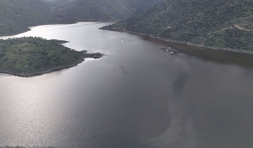 Aydın'da yağmurlar bereket getirdi