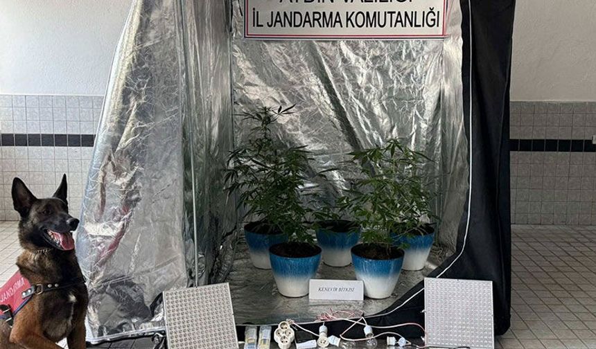 Buharkent’te operasyon: Özel düzenek kurmuş