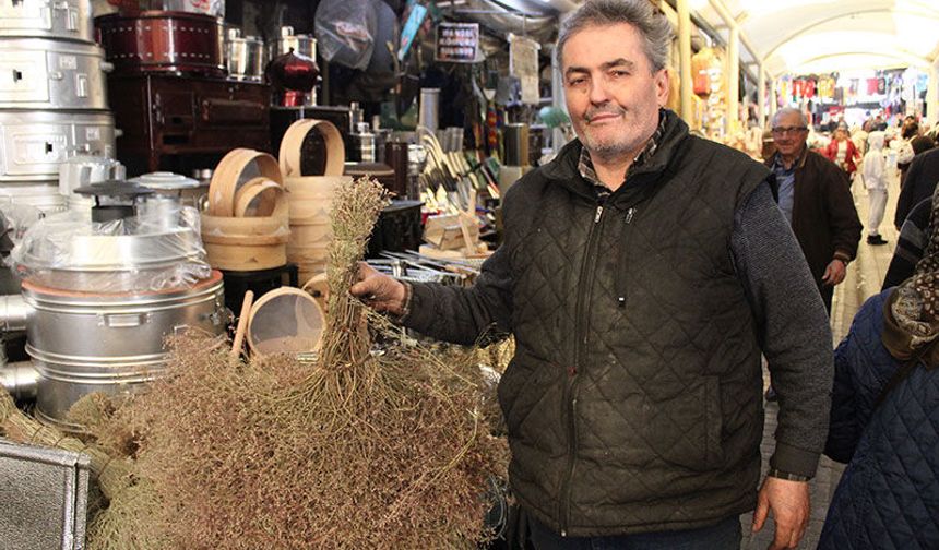 Çalı süpürgesi teknolojiye direniyor