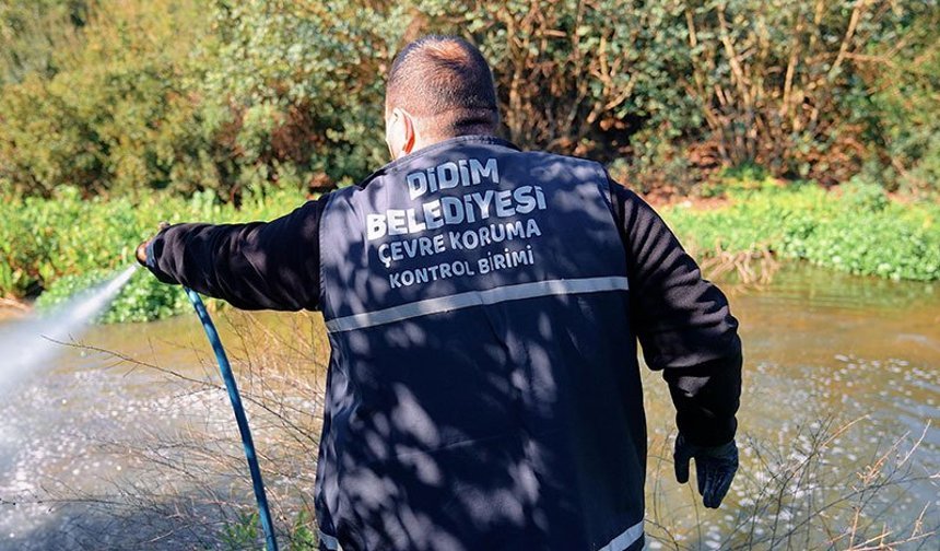 Didim Belediyesi vektörle mücadeleyi yıl boyunca sürdürüyor
