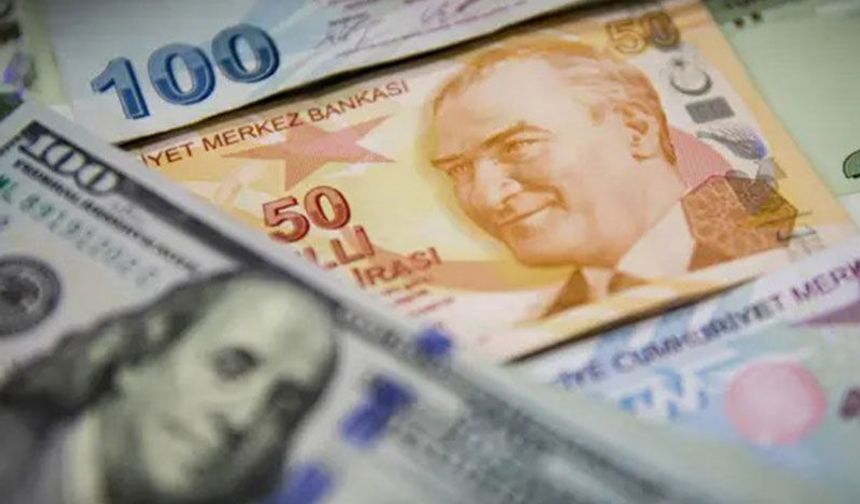 Dolar, TL karşısında tarihi zirveye ulaştı