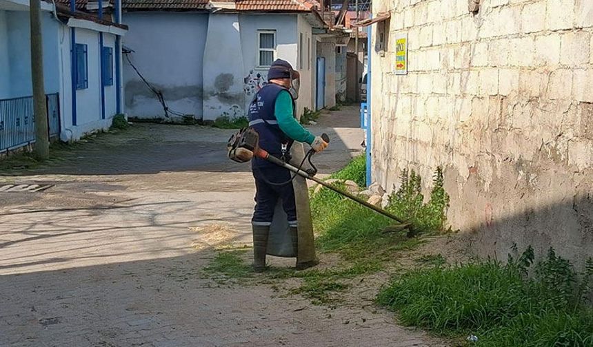 Efeler Belediyesi’nin yeşil ekipleri çalışmalarına devam ediyor