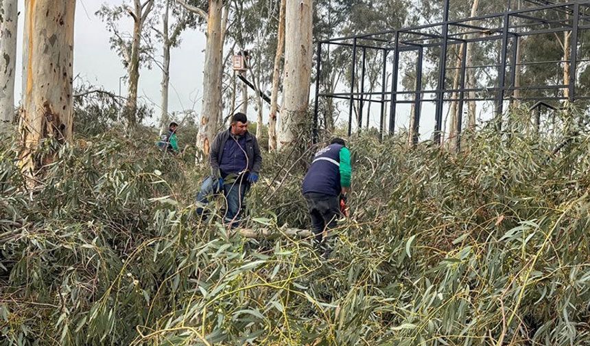 Tepecik Mesire Alanı yenileniyor