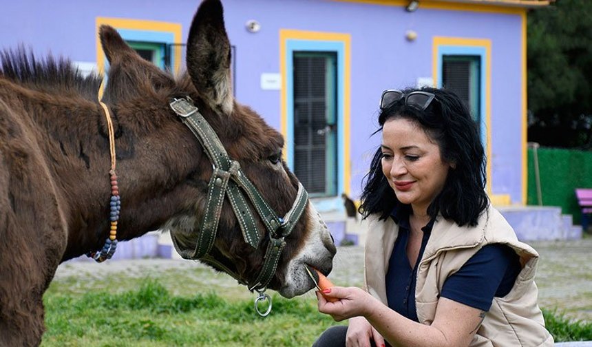 Çamurdan kurtarılan  “Fıstık” yeni yuvasında hayat buldu