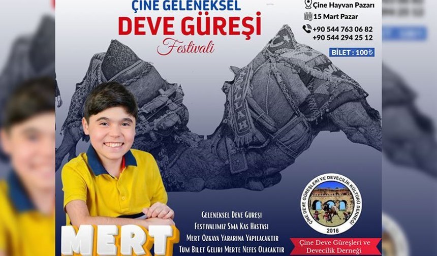 Çine’de Deve Güreşi Festivali SMA hastası Mert için düzenleniyor