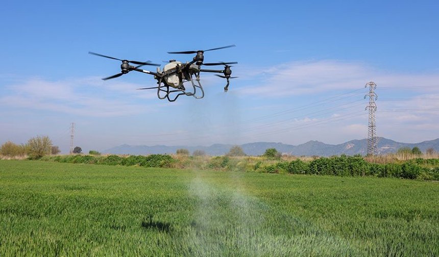 Aydın’da  tarlalar drone ile ücretsiz gübreleniyor