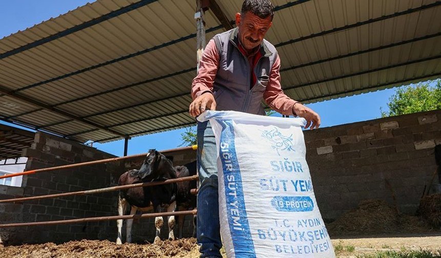 Büyükşehir'den Germencik'te küçük üreticilere yem desteği