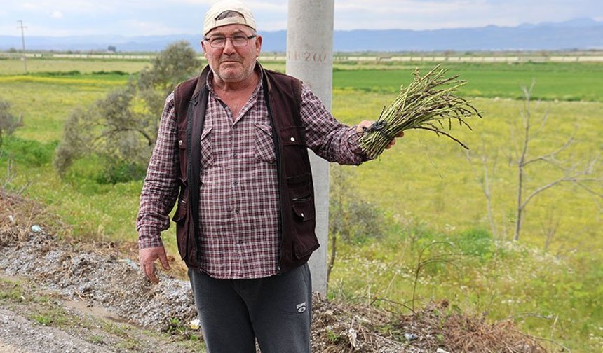 Dağdan topluyor, ihtiyaç sahiplerine dağıtıyor