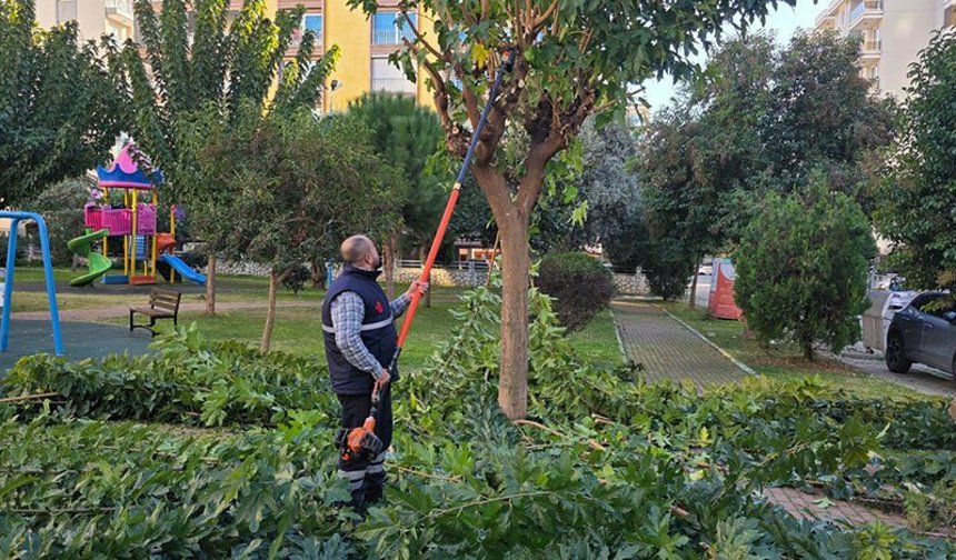 Efeler Belediyesi’nden yeşil seferberlik
