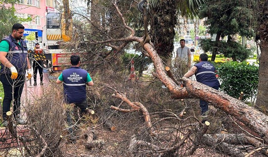 Efeler’de parklar daha güvenli hale geliyor