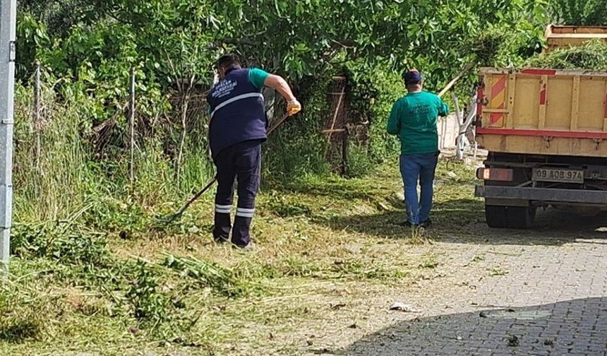 Efeler'de yeşil alanlarda çalışmalar sürüyor