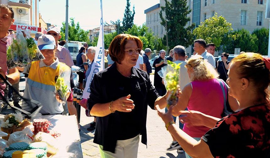 Didim Belediyesi’nden ücretsiz fide dağıtımı