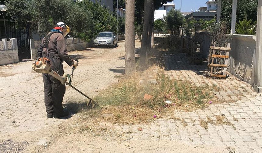 Didim Belediyesi yeşil alanlarda bakım çalışmalarını sürdürüyor