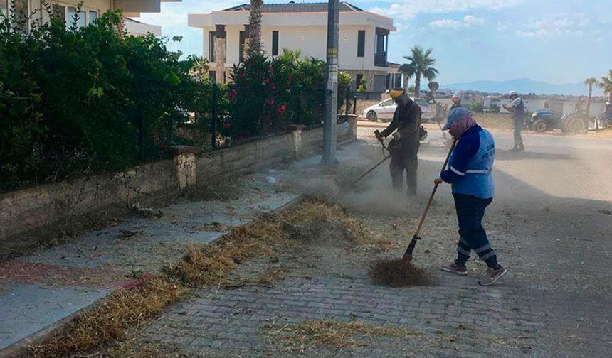 Didim Belediyesi ekipleri sahada