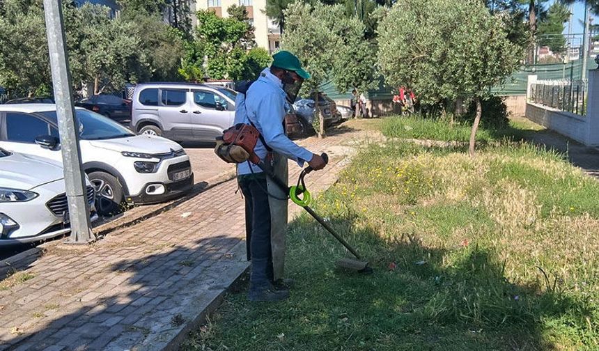 Efeler’in yeşil alanlarında yaz temizliği