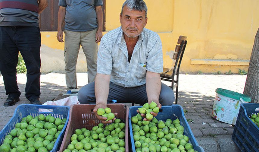 İlek pazarlarında sezon başladı