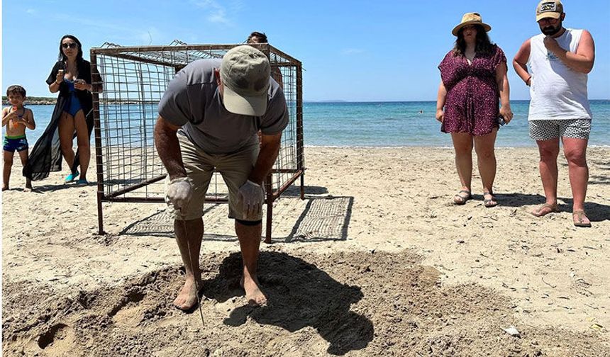 Aydın’da yılın ilk Caretta Caretta yuvası tespit edildi