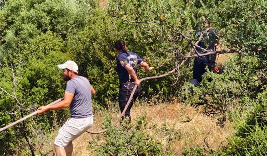 Yenipazar’daki yangın kontrol altına alındı