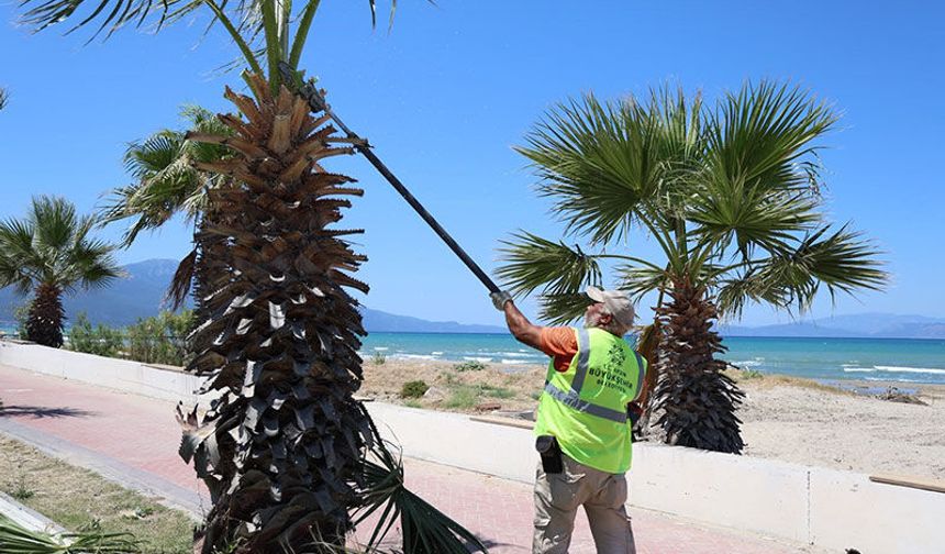 Kuşadası'nda yeşil alanlarda düzenleme çalışması