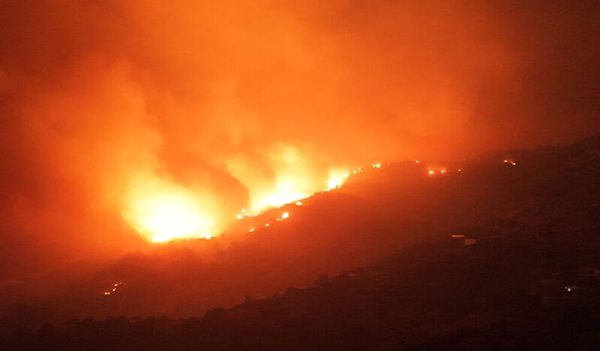 Tarım ve Orman Bakanlığı’ndan Çine yangını açıklaması