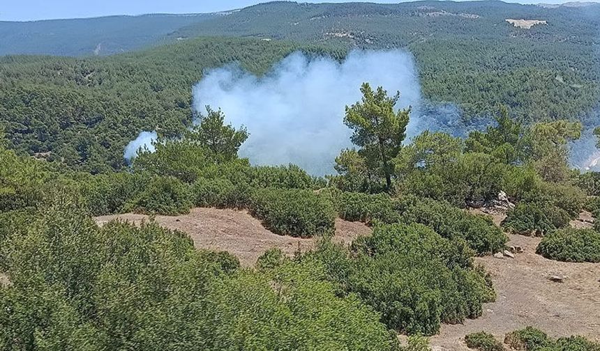 Çine’de orman yangını