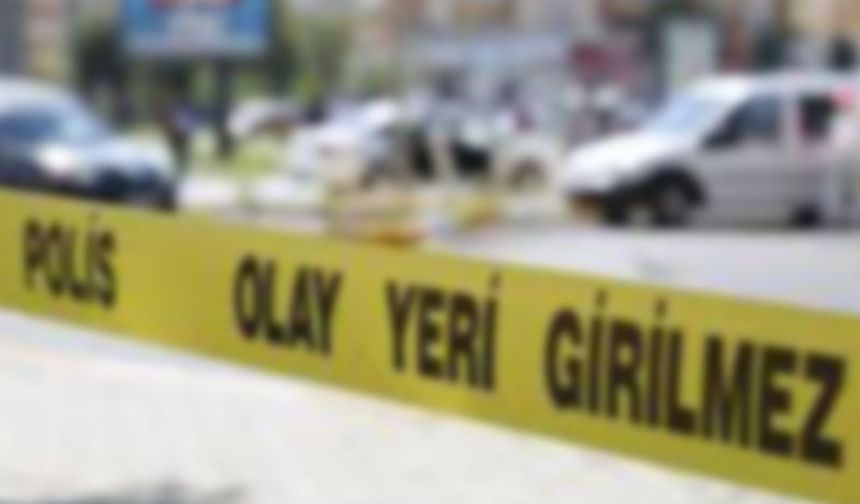 Hayvan damında canına kıydı