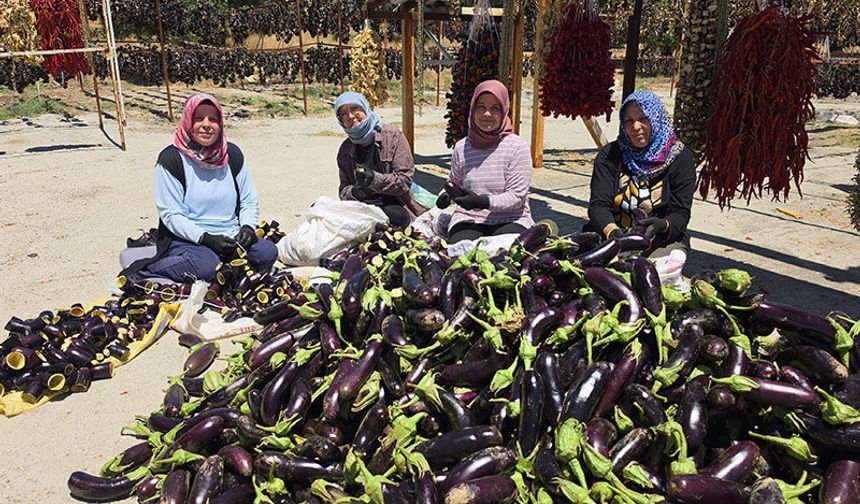 Nazilli’nin kurutmalık ürünleri dünyayı dolaşıyor
