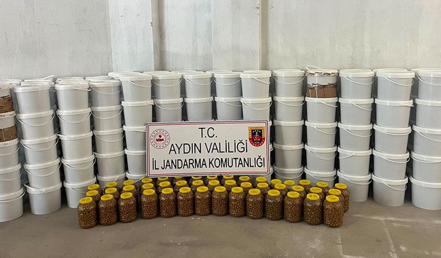 Aydın’da sahte gıda operasyonu
