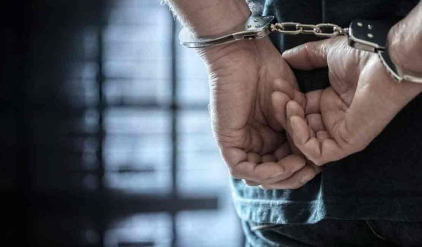 Sahte vize siteleri üzerinden milyonluk vurgun