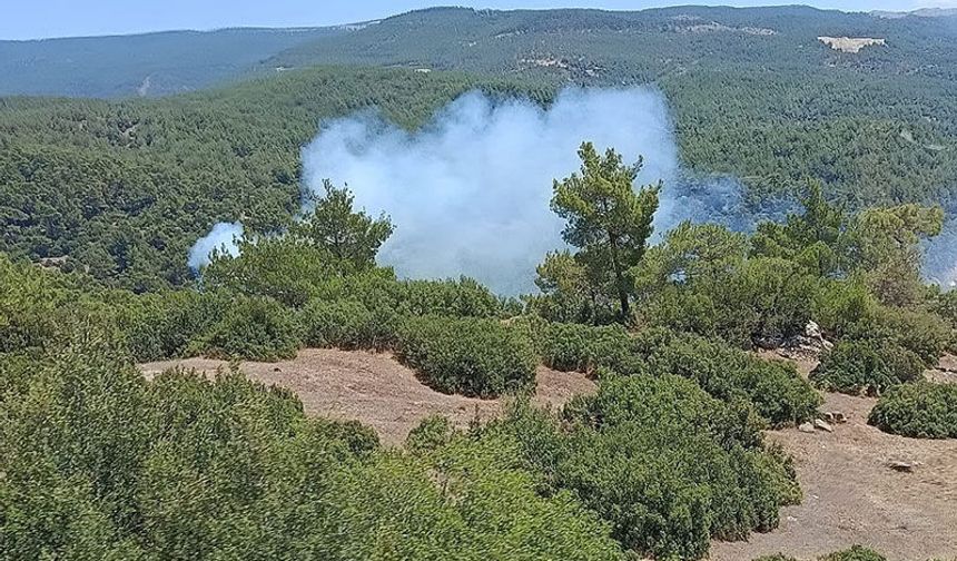 Aydın Valiliği'nden kritik orman yangını uyarısı