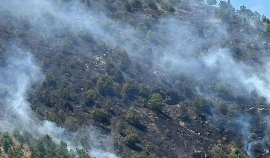 Sultanhisar’daki yangına müdahale sürüyor