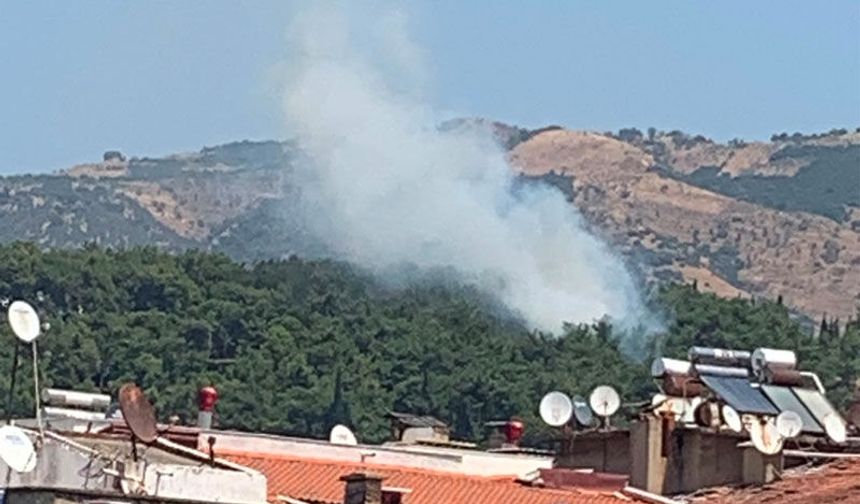 Mesire alanında yangın