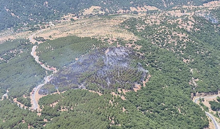 Kuyucak’taki yangın kontrol altında