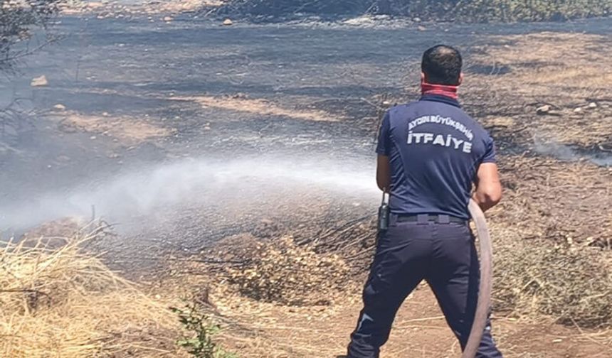 Aydın’da korkutan yangın