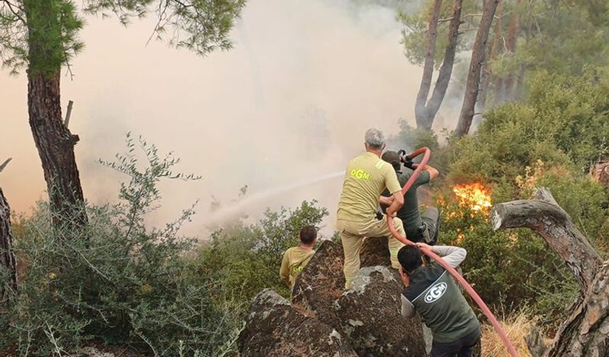 Çine yangınına müdahale ikinci günde sürüyor