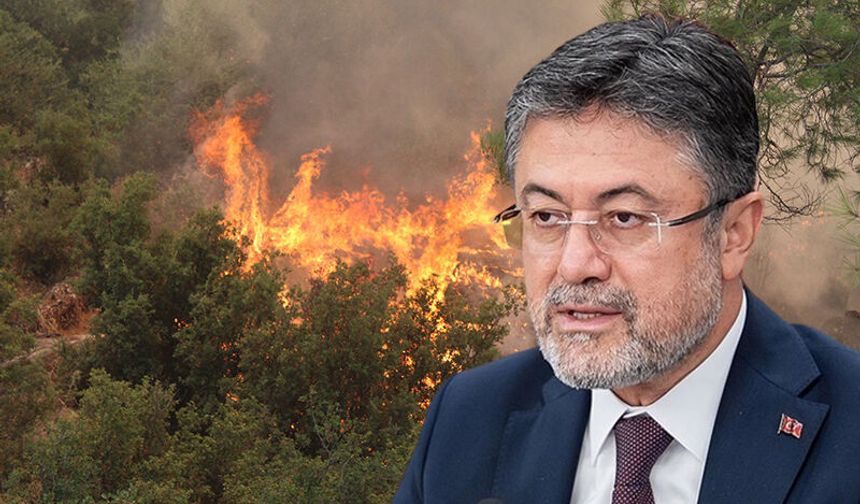 Bakan Yumaklı Çine’deki yangının son durumunu açıkladı