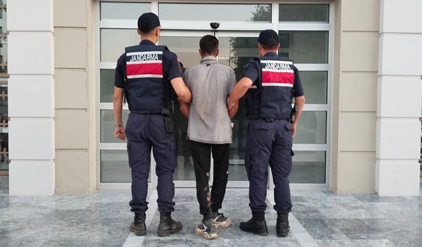 Aydın'da incir hırsızına suçüstü