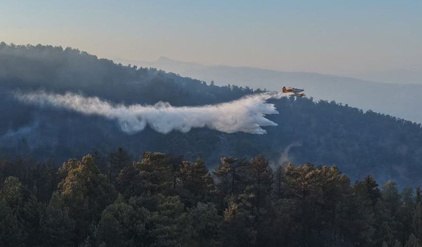 Kuyucak'taki yangına müdahale sürüyor