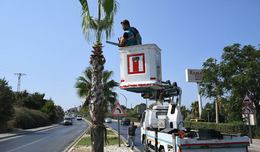Daha yeşil bir Kuşadası için çalışmalar sürüyor