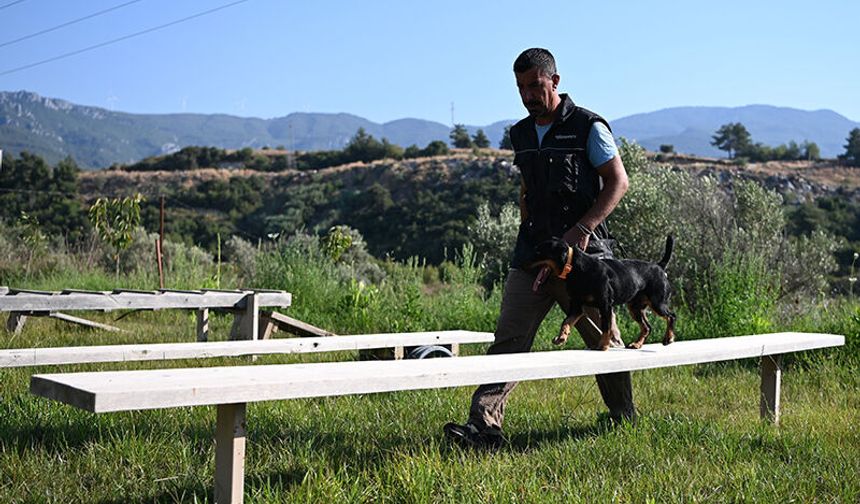 Aydın'da yetiştirdiği kurtarma köpekleriyle birçok hayat kurtardı
